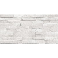 Плитка Discover TWU2550DCV14 24,9x50