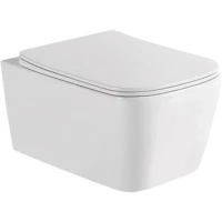 Унитаз подвесной Allen Brau Liberty 4.32003.20 безободковый, с сиденьем микролифт, белый