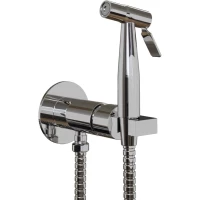 Гигиенический душ Paini Castello Round CACR442R со смесителем, хром