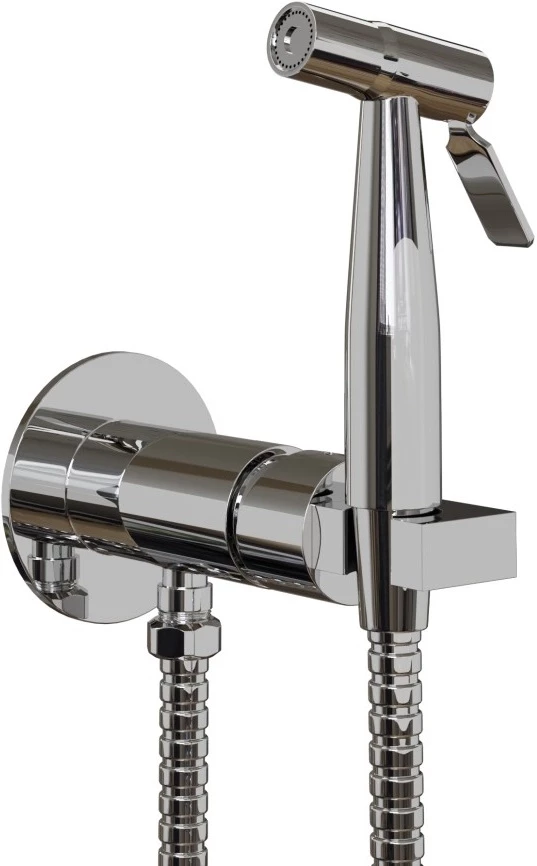 Гигиенический душ Paini Castello Round CACR442R со смесителем, хром гигиенический душ со смесителем veragio