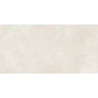 Керамогранит G-41 MR 60x120