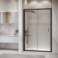 Душевая дверь 120 см RGW PA-21B Passage 06082112-14 прозрачное