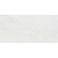 Керамогранит NT Ceramic Zeus ZS612NTT9701M 60х120