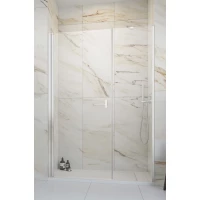 Душевая дверь Radaway Nes DWS 140 Left 10028140-01-01L прозрачное