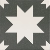 Керамогранит Mainzu FIRED Star Black Mate 20х20