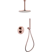 Душевой комплект 250 мм Abber Wasser Kreis AF8121RG