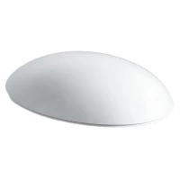 Сидение softclose Laufen Alessi One 8.9297.1.000.000.1