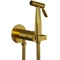 Гигиенический душ Paini Castello Round CAPJ442R со смесителем, золотой матовый - 1