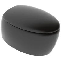 Унитаз подвесной GSG Touch TOWCSOSC003 безободковый, черный матовый