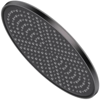 Верхний душ Raglo R451.50.09 250 мм, графит матовый