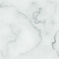 Керамогранит 4101192 Dandy White 18,6x18,6