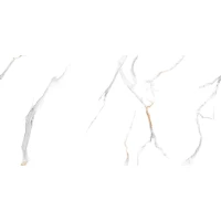 Керамогранит Realistik Storneto Statuario 17 Punch 60x120 69913