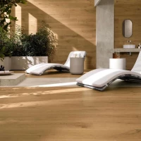 Коллекция плитки Atlas Concorde Entice