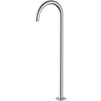 Излив для ванны 245 мм Omnires Y WWYCR