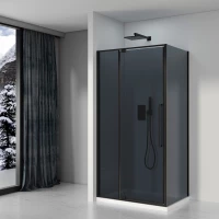 Душевой уголок 100x100 см Black & White Stellar Wind S812 BG 8121000G серое