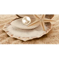 Декоративный массив Аликанте бежевый (низ жемчужина) (07-00-5-10-00-11-122) 25x50