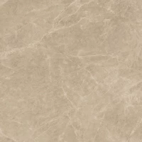Керамогранит Atlas Concorde Marvel Elegant Sable 60x60 Lappato (AEN1)