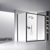 Душевой уголок Veconi Rovigo RV060B-160100-01-C5 160x100 см, профиль черный матовый, стекло прозрачное