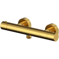 Термостат для душа Whitecross Y Y1246GLB