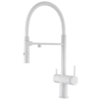 Смеситель для кухни с подключением к фильтру Paulmark Gravity Gr213888-WH