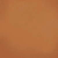 Barnet Cuero 31,6x31,6