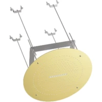 Потолочный душ Raglo R452.04.03 500 мм, 2 режима, золотой матовый