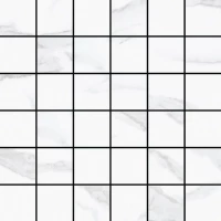 Мозаика Mosaic T66063 298x298