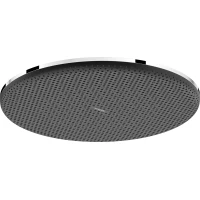 Верхний душ Hansgrohe Raindance Alive S 24521000 300 мм, хром