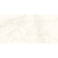 Керамогранит A4QW Marvel Calacatta Delicato Matt 60x120