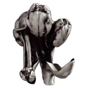 Изображение товара крючок art&max tulip am-0822-t двойной, для ванны, серебро