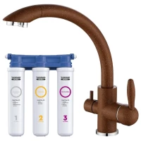 Смеситель для кухни с фильтром Paulmark Essen ES213001-307 + H851P00