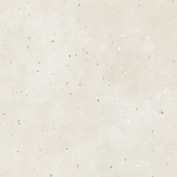 Керамогранит G-41 MR 60x60