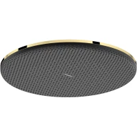 Верхний душ Hansgrohe Raindance Alive S 24523990 300 мм, золотой