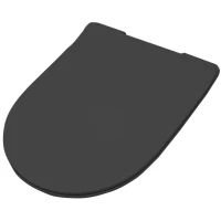 Сиденье для унитаза с микролифтом Artceram File 2.0 FLA014 17