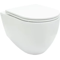 Унитаз подвесной Allen Brau Reality 4.32006.20 безободковый, белый