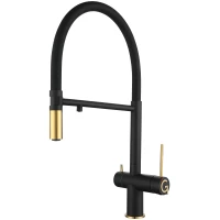 Смеситель для кухни Rivelato Adria 1523517 nero oro с подключением к фильтру, гибким изливом, золотой/черный