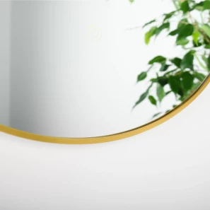 Изображение товара зеркало fixsen fx-3090g 50x90 см, с led-подсветкой, сенсорным выключателем, диммером, золотой матовый