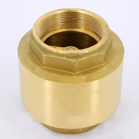 Клапан обратный пружинный с металлическим затвором 2