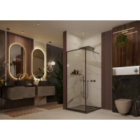 Неподвижная перегородка 69,5x200 см Ambassador Walk-in 15031221 прозрачное