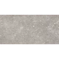 Керамогранит 096.022.0002.00206 Dover Gris MT Rect 60x120