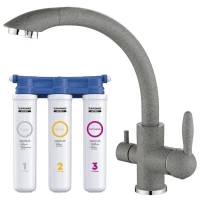 Смеситель для кухни с фильтром Paulmark Essen ES213001-310 + H851P00