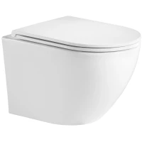 Унитаз подвесной WeltWasser Merzbach 004MT-WT безободковый, с сиденьем микролифт, белый матовый