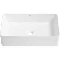 Раковина-чаша Wellsee FreeDom 2.0 323012000 50x34 см, накладная, белый матовый