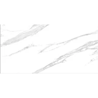 Керамогранит Luna White Matt 60x120