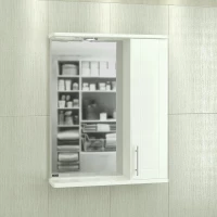 Зеркальный шкаф 59x74 см белый глянец Санта Дублин 123002