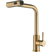 Смеситель для кухни Raffine F203G с выдвижным изливом, золотой матовый