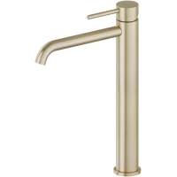 Смеситель для раковины Newform X-Steel 316 69615X.59.098 без донного клапана, светлое золото матовый