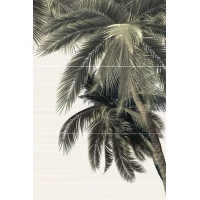 Панно Alma Ceramica PWU09DLM2 из 3 плиток Del Mare 74,7x50