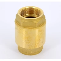 Клапан обратный пружинный с металлическим затвором 1