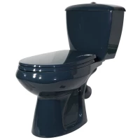 Унитаз-компакт Оскольская Керамика Элисса Стандарт 43325110202 косой выпуск, с сиденьем, зеленый